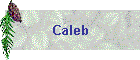 Calob