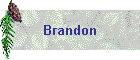 Brandon