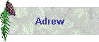 Adrew